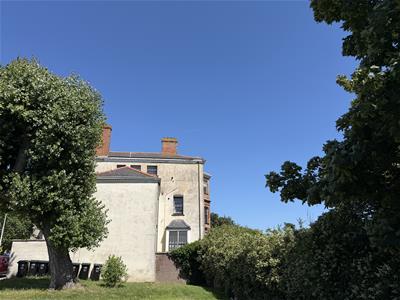 Picture 15